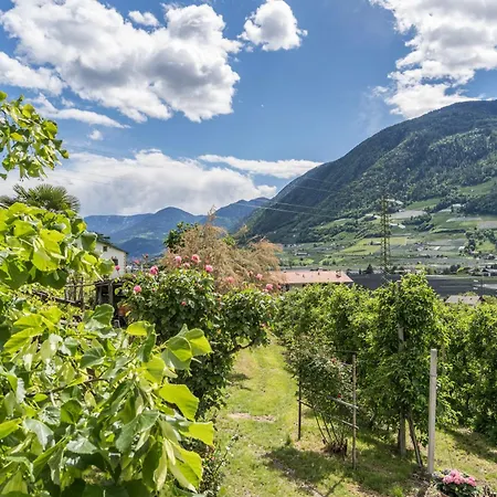 Golserhof Apartament *